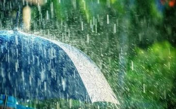 春天的雨中班教案精选5篇