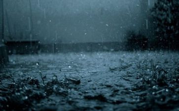 我下雨天作文通用7篇