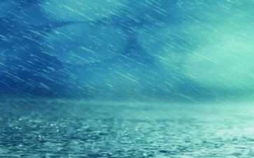 雨读后感100字6篇
