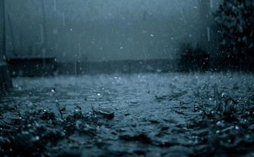 雨作文1000字模板7篇