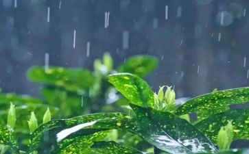 大班音乐下雨教案6篇