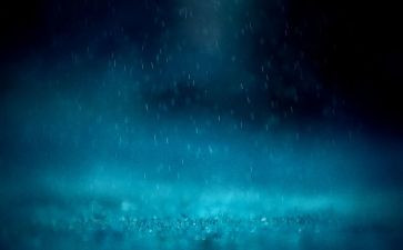 雷雨读后感作文500字8篇