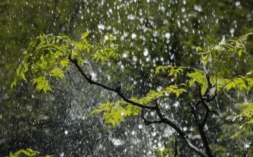 读英雄雨来读后感推荐8篇