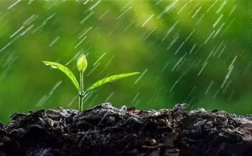 语言《下雨了》教案通用6篇