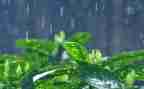 大班音乐下雨教案6篇
