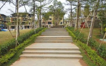 园建管理个人总结优秀8篇