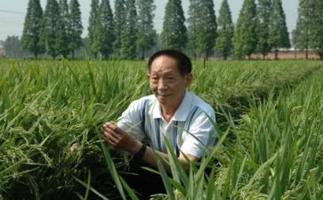 关于袁隆平事迹8篇