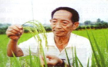 袁隆平说读后感8篇