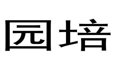 2024幼儿园培训心得体会优质6篇