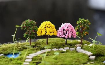 2023园艺个人工作总结8篇