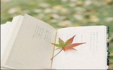 阅读演讲稿800字7篇