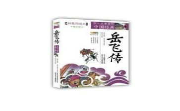 岳飞传的读后感400字8篇