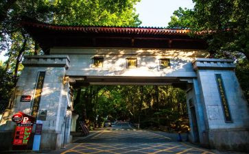爬岳麓山的心得体会5篇