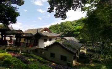 爬岳麓山心得8篇