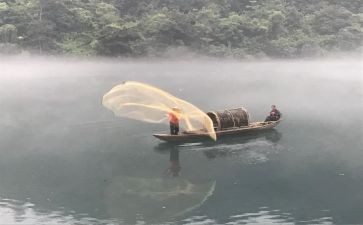 渔夫和小金鱼的读后感7篇