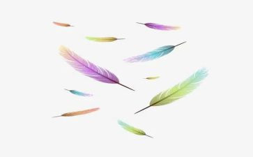 写羽毛球的作文300字6篇