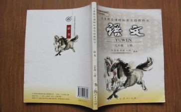 语文老师的年度工作总结通用5篇