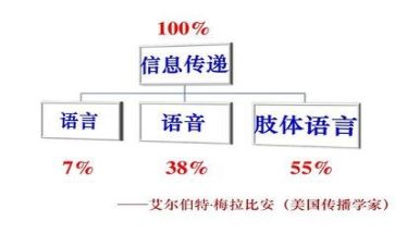 语言文字工作报告7篇