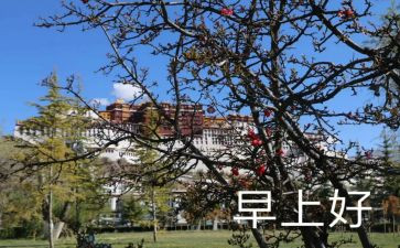 早教中心活动策划5篇