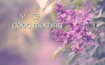 早教保育年终总结5篇