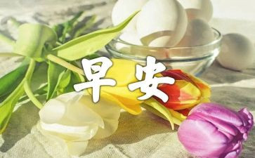 早晨的作文600精选5篇