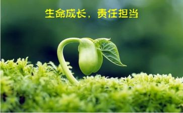 关于责任的小学生演讲稿6篇