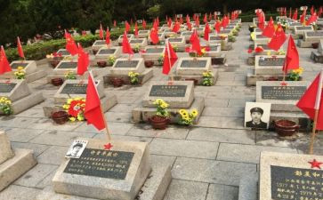 张从顺·张子权观后感7篇