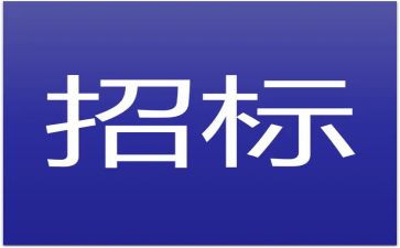 招标采购年终总结8篇