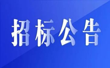 招标代理2023个人总结8篇