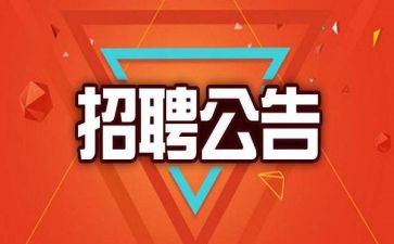 人事招聘的工作总结8篇