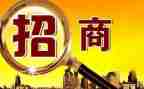 2024年招商工作个人总结参考5篇