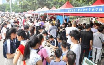 招生工作报告总结8篇