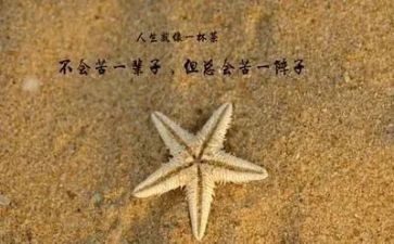 哲理小故事演讲稿优质8篇