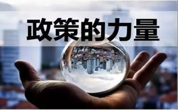政策心得体会1000字8篇