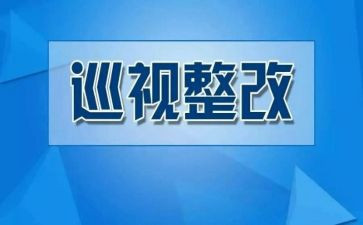 主体责任整改报告6篇