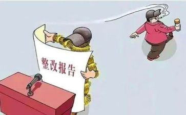 飞行检查整改报告6篇