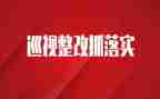 2024年整改报告优质5篇