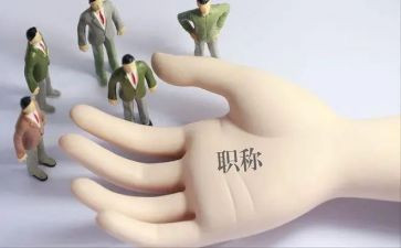 正高级职称专业技术工作总结7篇