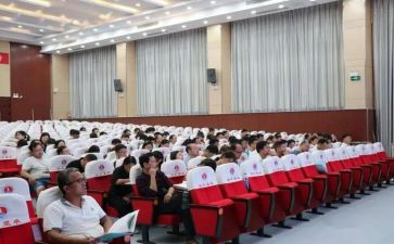 政教主任年终个人总结7篇