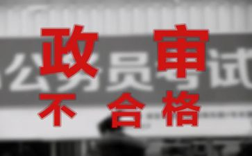 政审公务员个人总结6篇