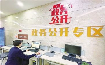 政务公开自工作总结6篇