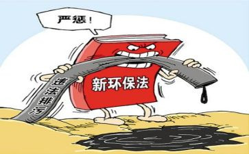 环境整治心得体会8篇
