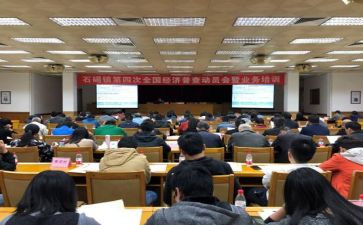 乡镇统计个人总结7篇