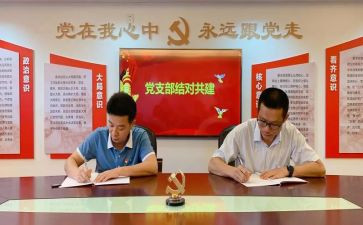 个人对支部的工作计划5篇