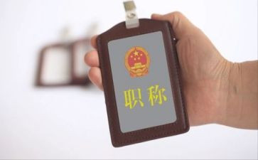 小学职称专业技术工作总结6篇