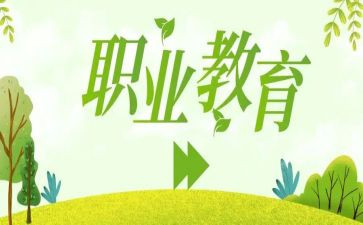 小学新入职教师工作总结7篇