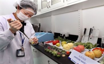 有质量的调研报告7篇