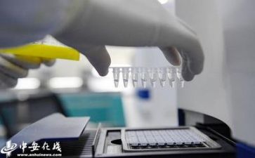 2024年质量工作总结推荐5篇