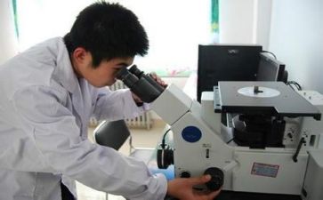 技术质量工作总结范文7篇