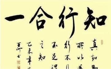 学习知与行心得体会5篇